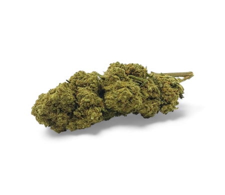 Fleur de CBD Harlequin Indoor Premium