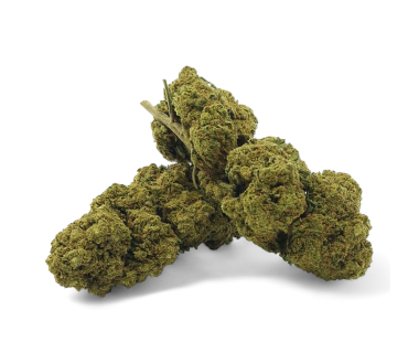 Fleur de CBD Harlequin Indoor Premium