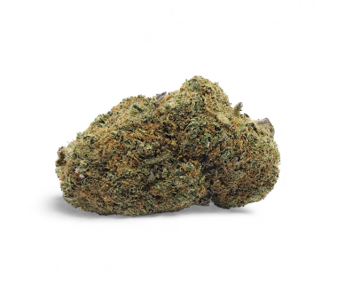 Fleur CBD Gelato Glue Indoor Premium