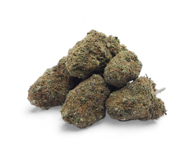 Fleur CBD Gelato Glue Indoor Premium