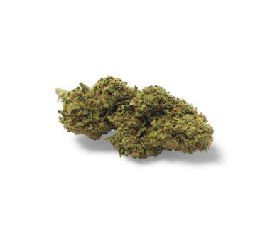 Fleur de CBD - EUPHORIA