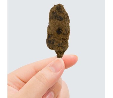 Moule alimentaire 8 compartiments (Brun)