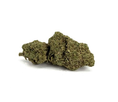 Fleur de CBD - EUPHORIA