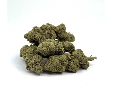 Fleur de CBD AK-47 Premium
