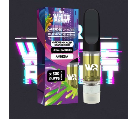 Cartouche VMAC Amnésia E510 1ml