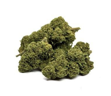 Fleur de CBD Gorilla Glue Greenhouse