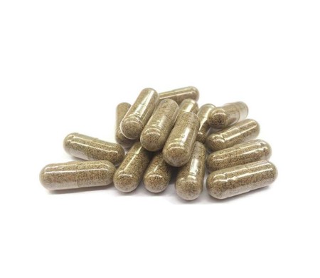 Gélule CBG & champignons bien-être musculaire | FUNGO, NOVALOA
