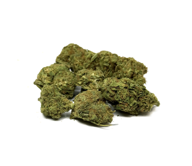 Fleurs de CBD LIFTER Premium Greenhouse