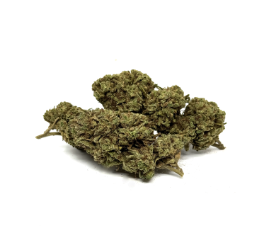 Fleur de CBD White Widow Greenhouse