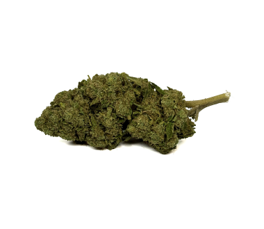 Sucette CBD Blue Raspberry - 100 pcs | BUBBLY BILLY