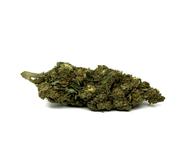 Cbd-Gardens | Accueil