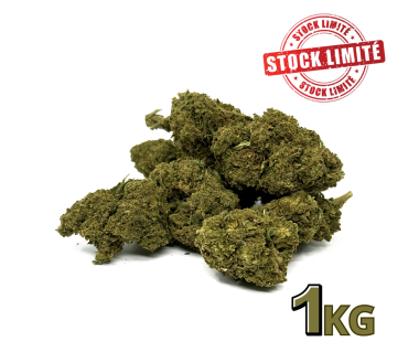 Fleur de CBD Cannatonic 1kg Premium