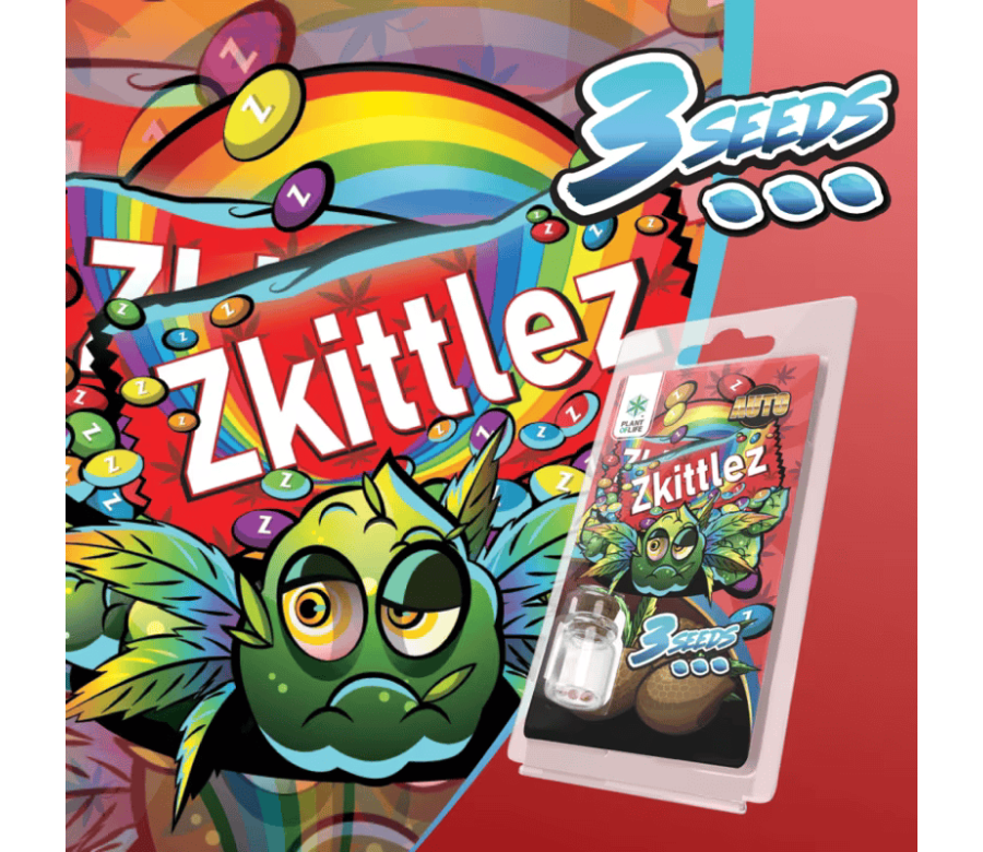 3 Graines Zkittlez AUTO | Plant of Life 3 Graines Zkittlez AUTO | Plant of Life