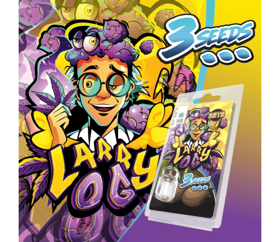 3 Graines Larry OG AUTO | Plant of Life 3 Graines Larry OG AUTO | Plant of Life