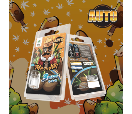 3 Graines Magnum AUTO | Plant of Life