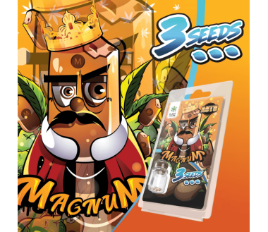 3 Graines Magnum AUTO | Plant of Life