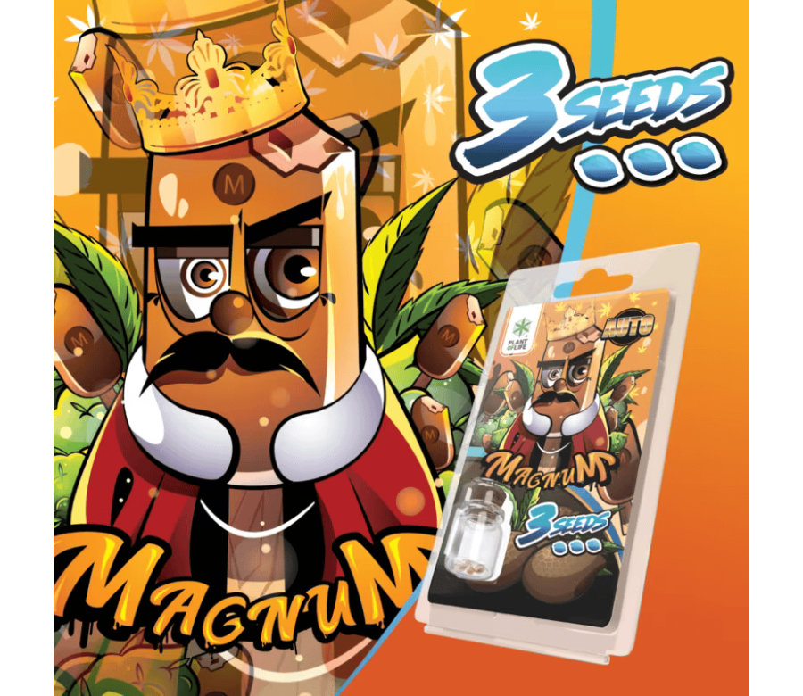 3 Graines Magnum AUTO | Plant of Life