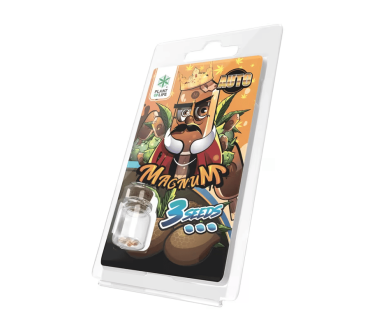 3 Graines Magnum AUTO | Plant of Life