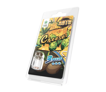 3 Graines Cheese AUTO | Plant of Life