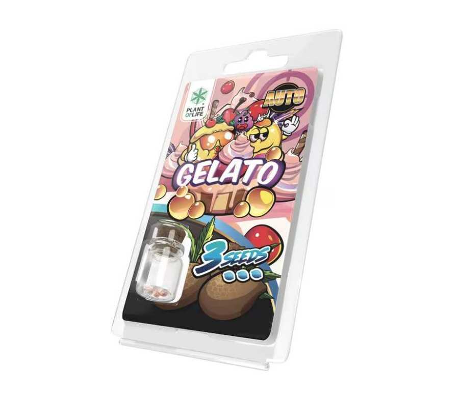 3 Graines Gelato AUTO | Plant of Life