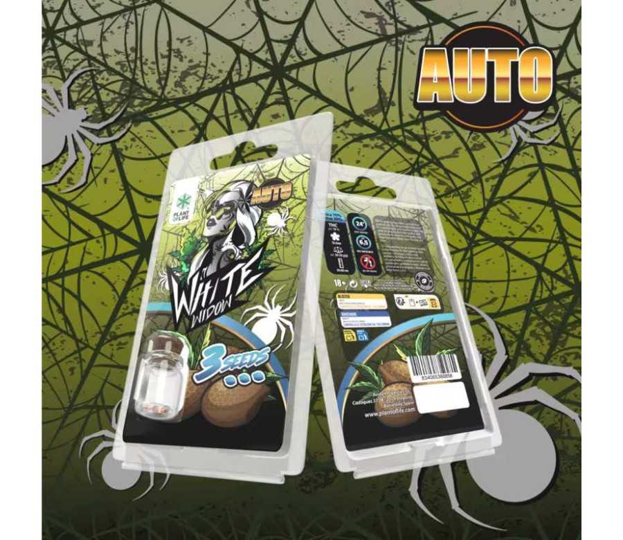 3 Graines White Widow AUTO | Plant of Life