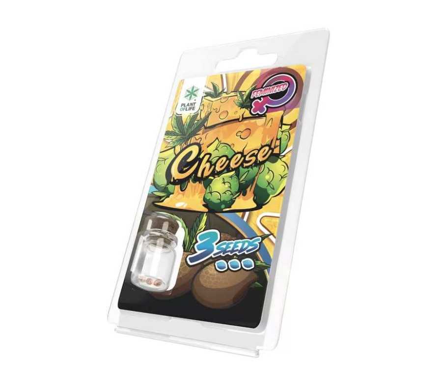 3 Graines Cheese FÉMINISÉE | Plant of Life