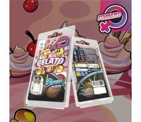 3 Graines Gelato FÉMINISÉE | Plant of Life