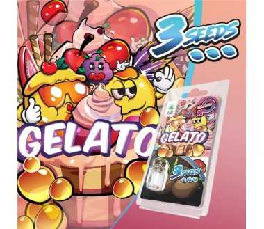 3 Graines Gelato FÉMINISÉE | Plant of Life