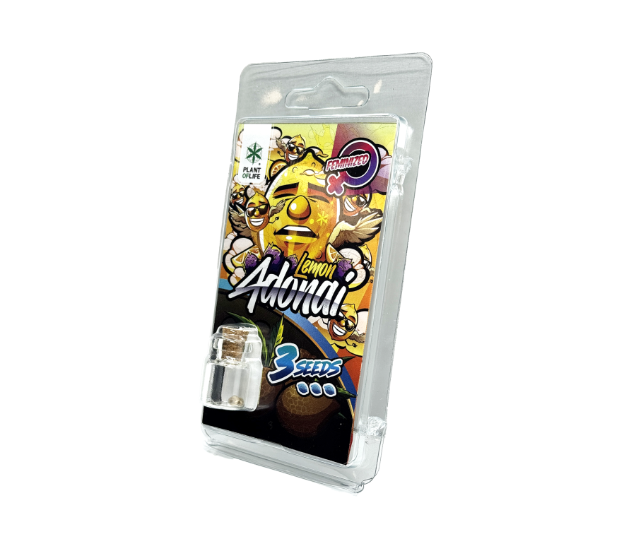3 Graines Lemon Adonai FÉMINISÉE | Plant of Life