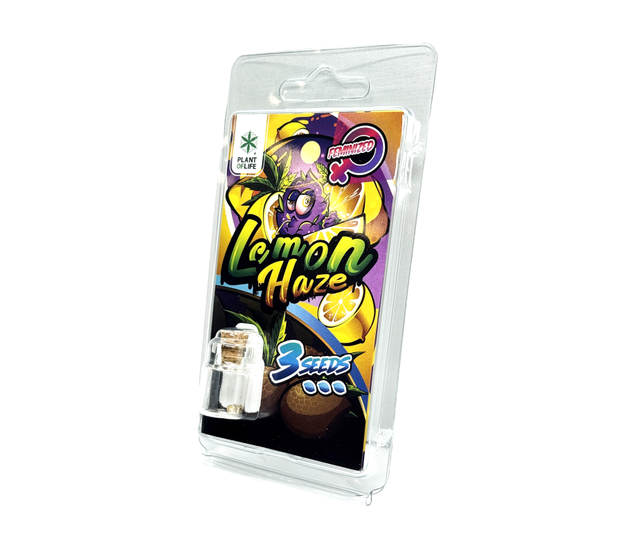 3 Graines Lemon Haze FÉMINISÉE | Plant of Life