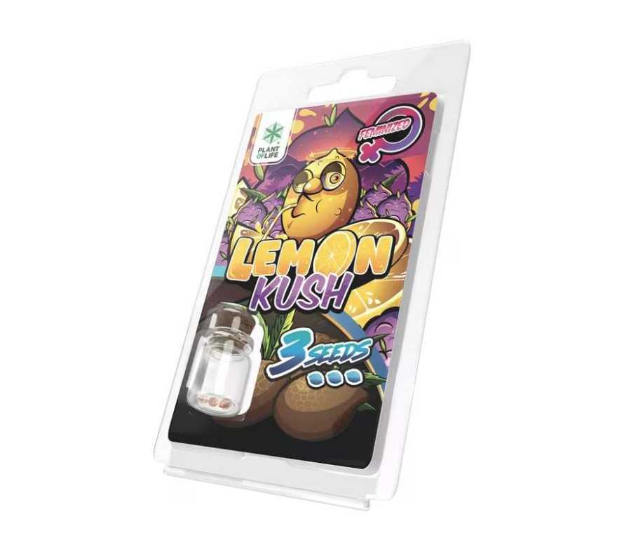 3 Graines Lemon Kush FÉMINISÉE | Plant of Life