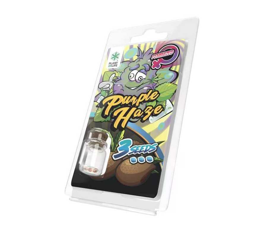 3 Graines Purple Haze FÉMINISÉE | Plant of Life 3 Graines Purple Haze FÉMINISÉE | Plant of Life