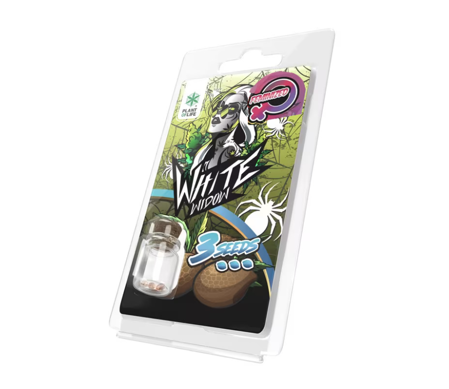 3 Graines White Widow FÉMINISÉE | Plant of Life