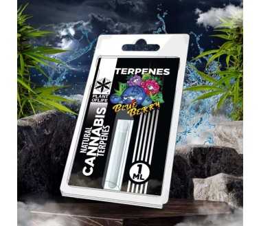 Cbd-Gardens | Accueil