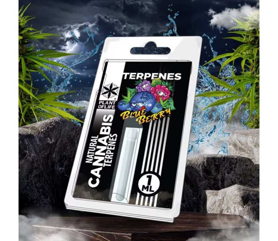 Terpène Blueberry Diesel | PLANT OF LIFE Terpène Blueberry Diesel | PLANT OF LIFE