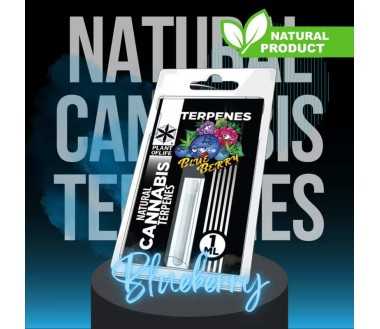 Terpène Blueberry Diesel | PLANT OF LIFE