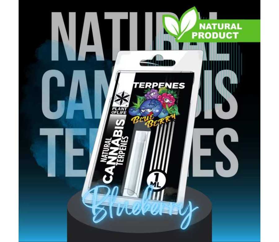 Terpène Blueberry Diesel | PLANT OF LIFE Terpène Blueberry Diesel | PLANT OF LIFE