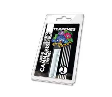 Terpène Blueberry Diesel | PLANT OF LIFE