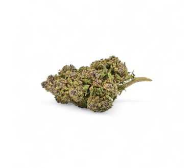 Cbd-Gardens | Accueil
