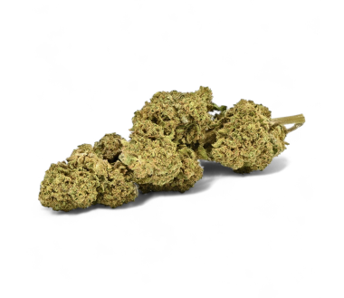 Cbd-Gardens | Accueil