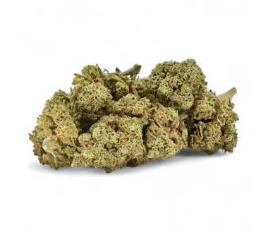 Fleur CBD Remedy Notes de Pin Sylvestre