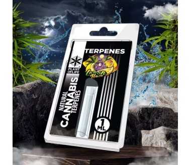 Destockage Résine Jaune CBD 17% - CBG 4%