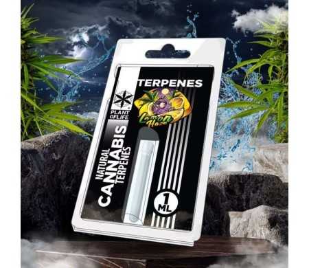 Terpène Lemon Haze | PLANT OF LIFE
