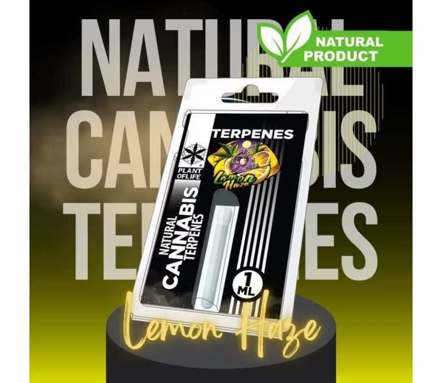 Terpène Lemon Haze | PLANT OF LIFE Terpène Lemon Haze | PLANT OF LIFE