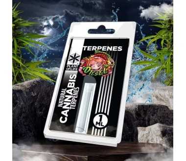 Cbd-Gardens | Accueil