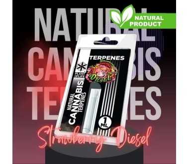 Terpène Strawberry Diesel | PLANT OF LIFE