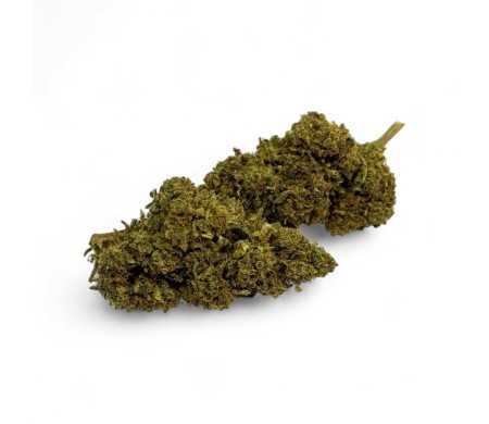 Fleur de CBD Cannatonic Greenhouse