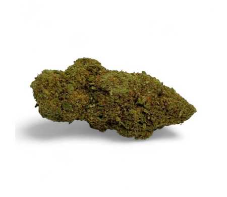 Fleur de CBD Amnesia 2.0 Greenhouse