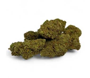 Fleur de CBD Amnesia 2.0 Greenhouse