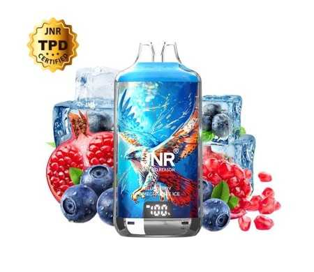 Kit Puff Falcon-X Plus 28000 JNR Blueberry Pomegranate Ice